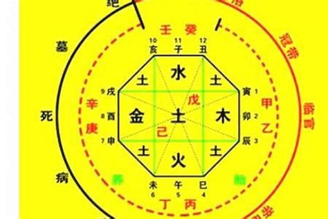 甲辰年 八字|生辰八字算命、五行喜用神查询（免费测算）